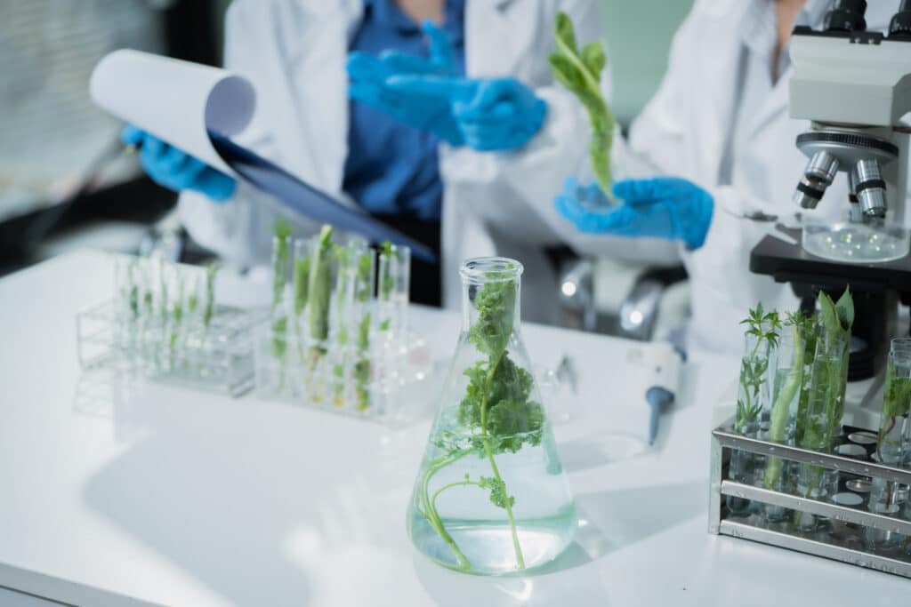 Commitment to Sustainability-image